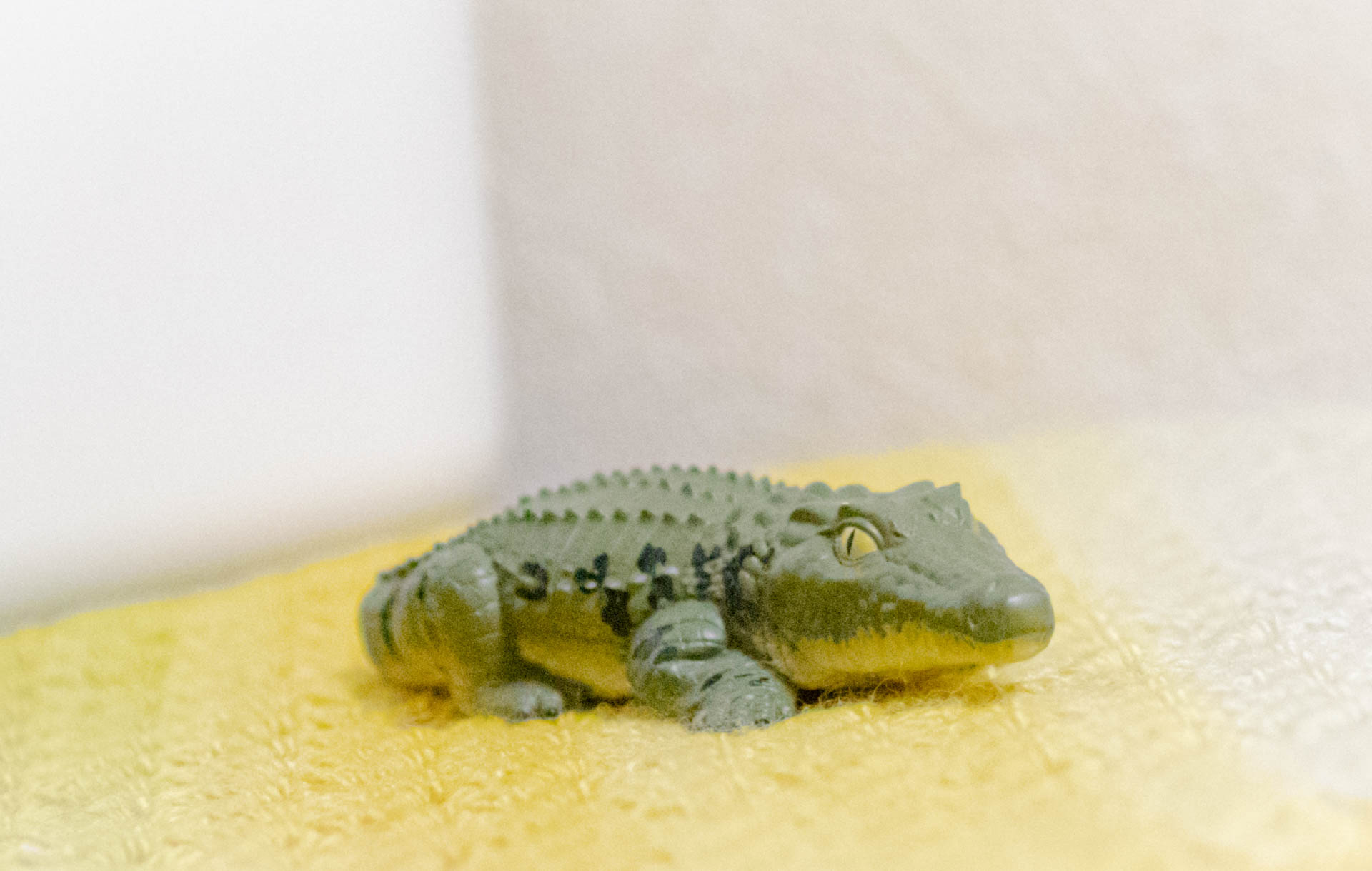 てのりフレンズ　クロコダイル　ワニ