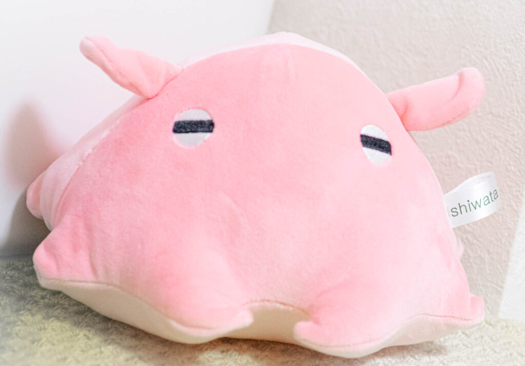 ぬいぐるみ　めんだこ