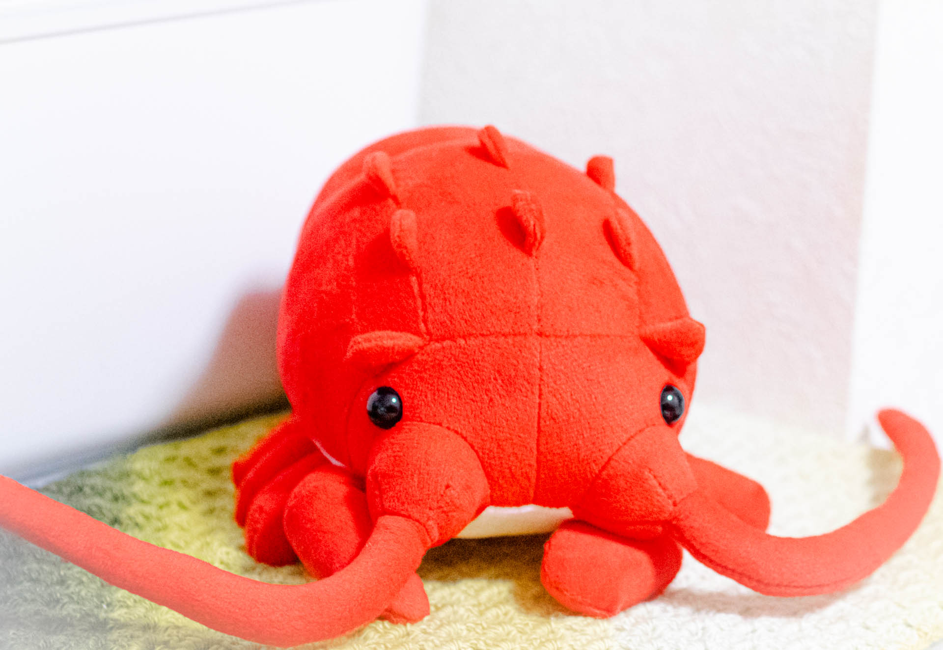 ぬいぐるみ　伊勢海老　えのすい