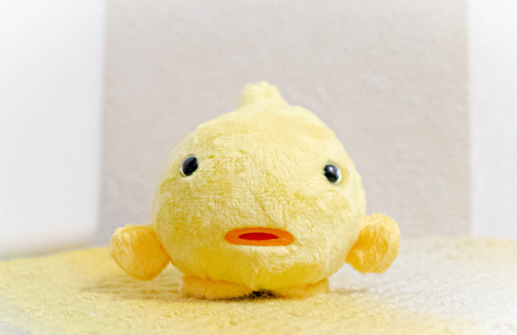 ぬいぐるみ　フウセンウオ　えのすい