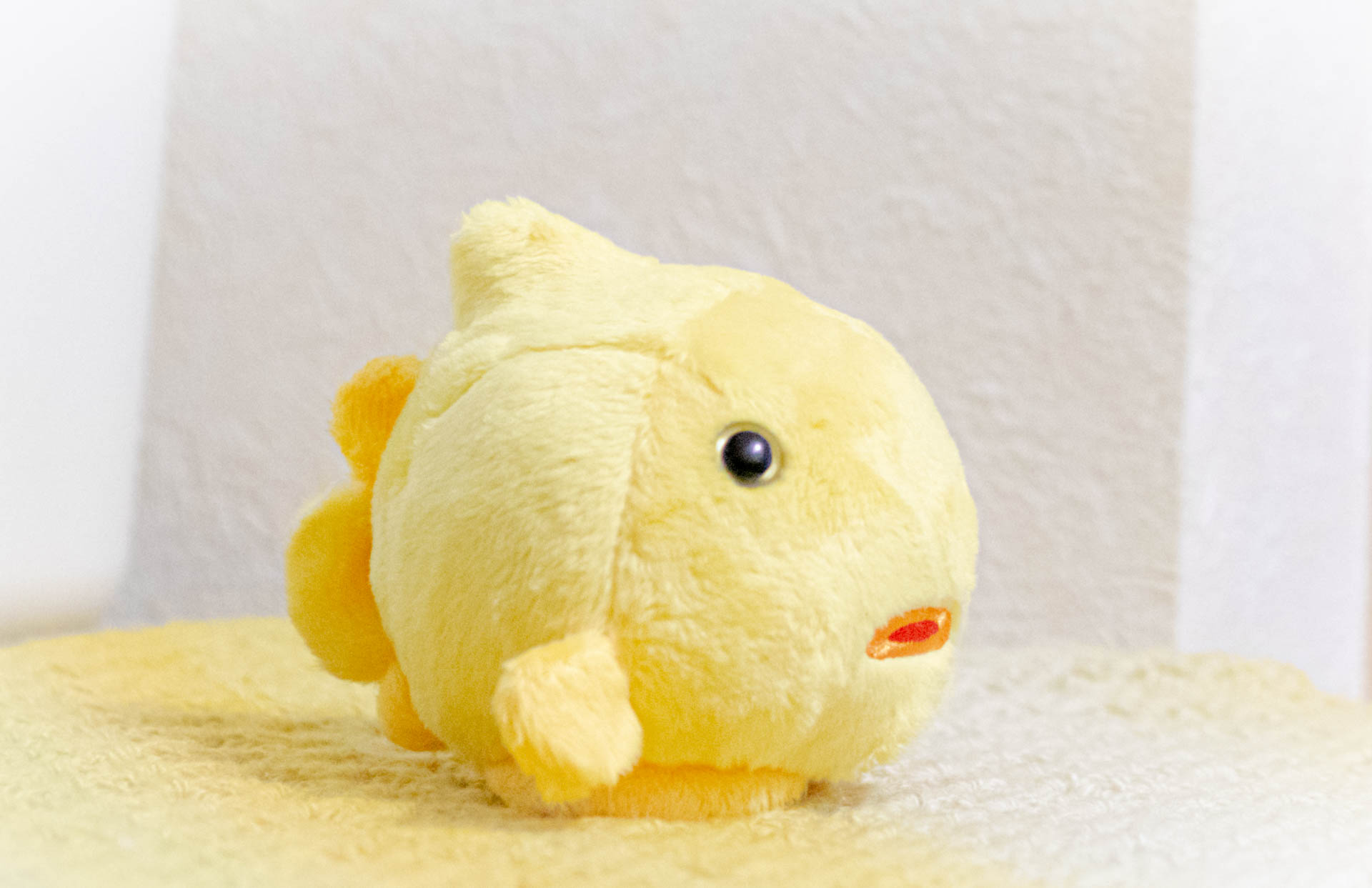 ぬいぐるみ　フウセンウオ　えのすい