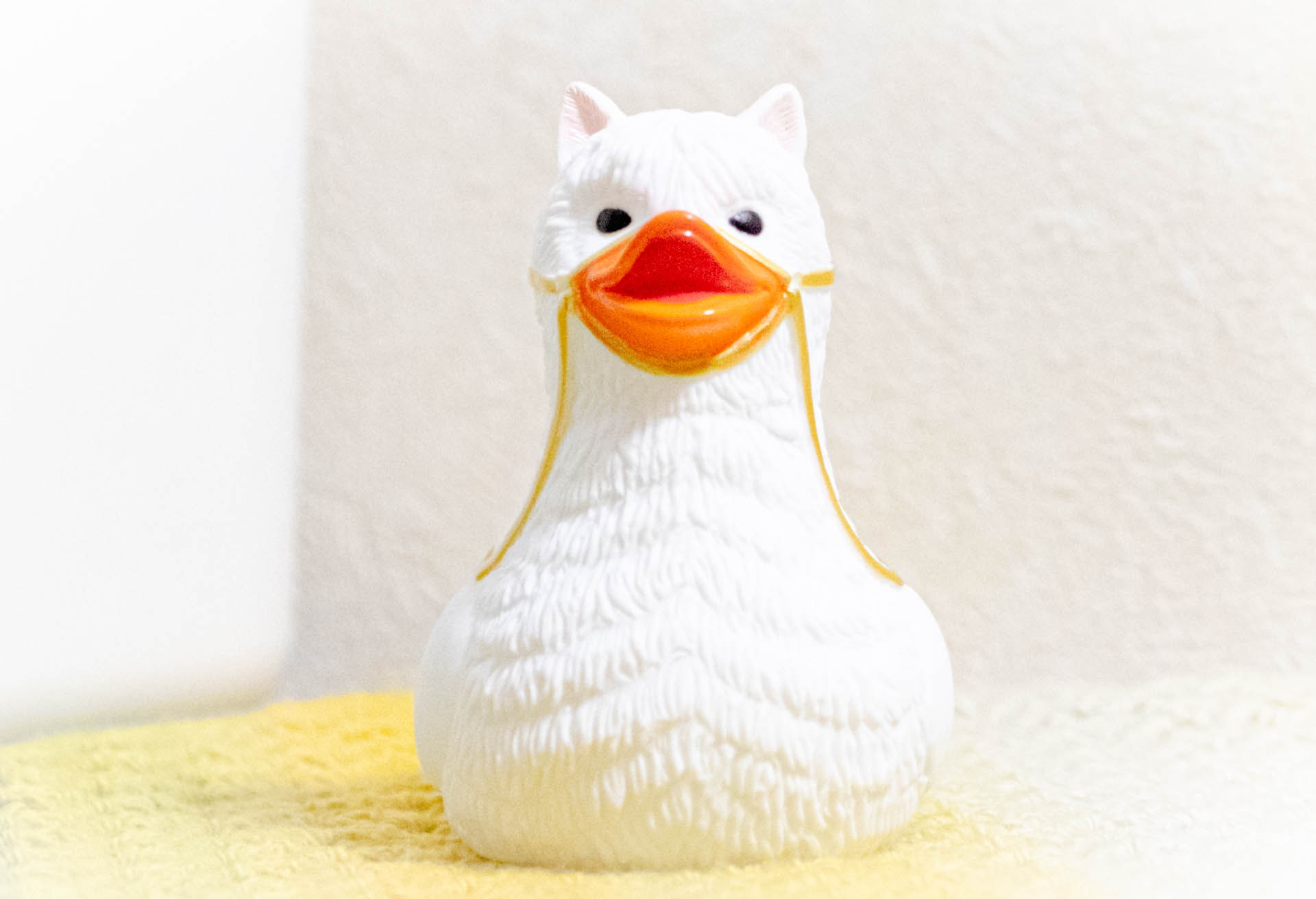 ラバーラマ　マチュピチュ展