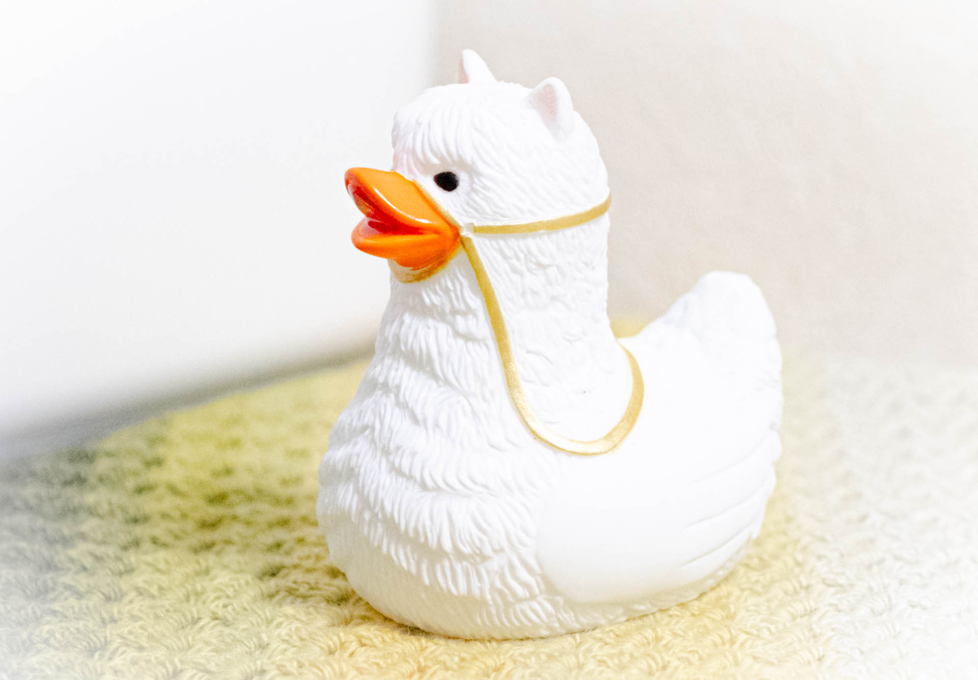 ラバーラマ　マチュピチュ展