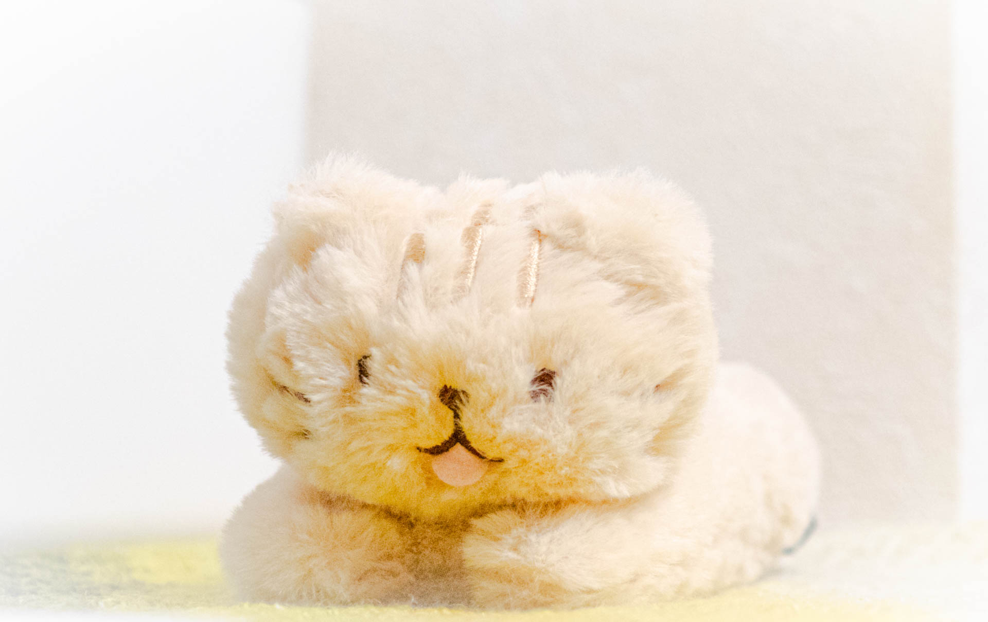 ふくふくにゃんこ　チャチャ丸　ぬいぐるみ