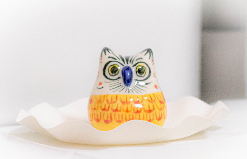 パロマール　メキシコ　フクロウ