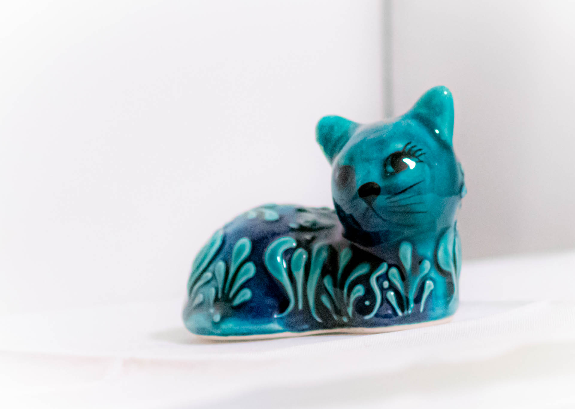 トルコ　万博　猫