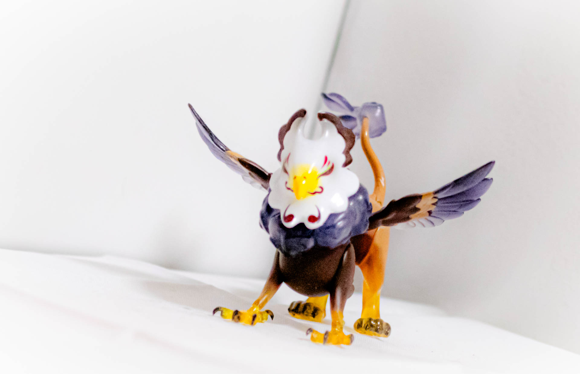 ひょっこり姫鷲獅子　白頭