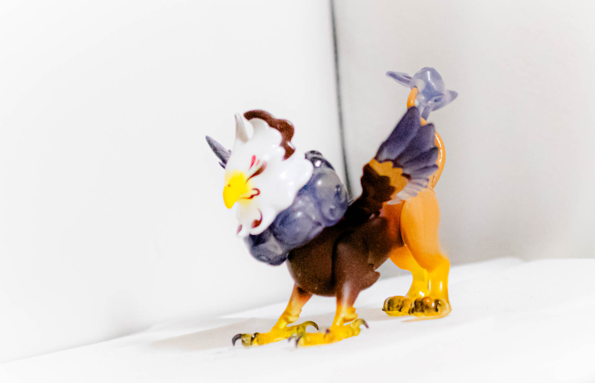 ひょっこり姫鷲獅子　白頭