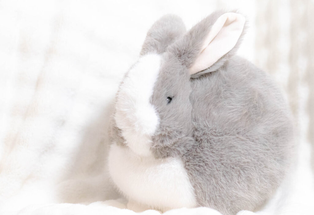 ニトリデコホーム　うさぎ　クッション