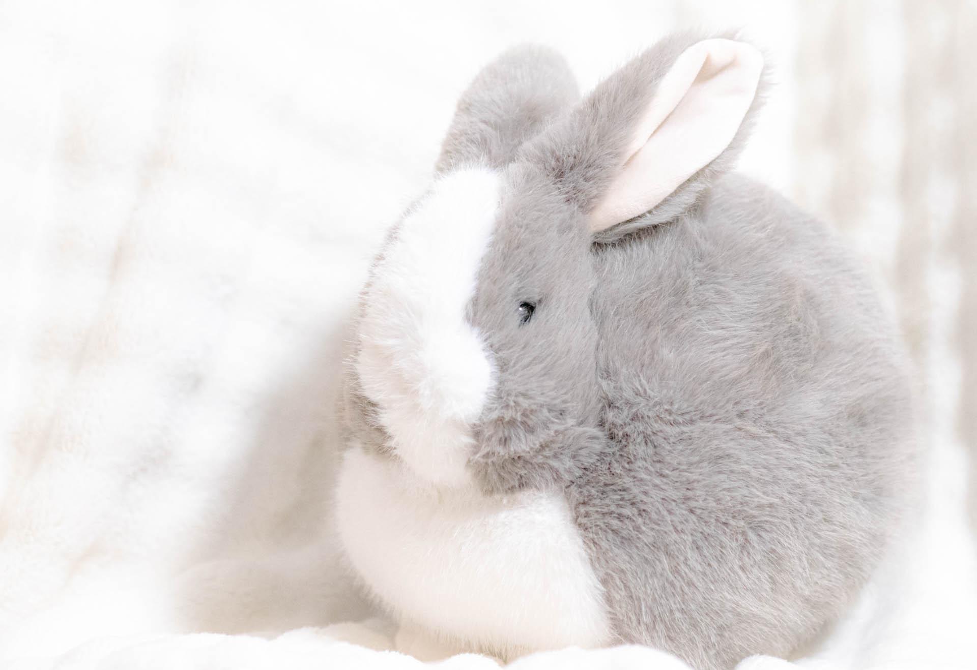 ニトリデコホーム　うさぎ　クッション