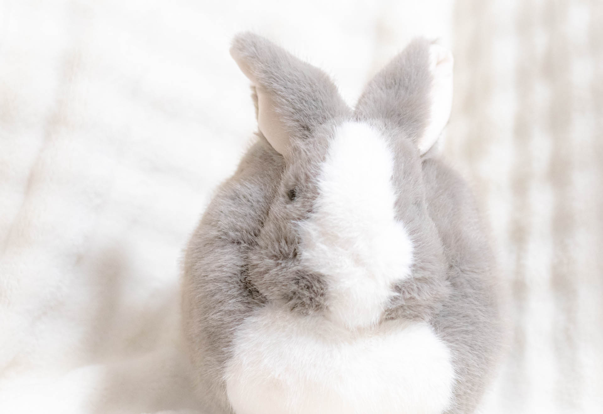 ニトリデコホーム　うさぎ　クッション