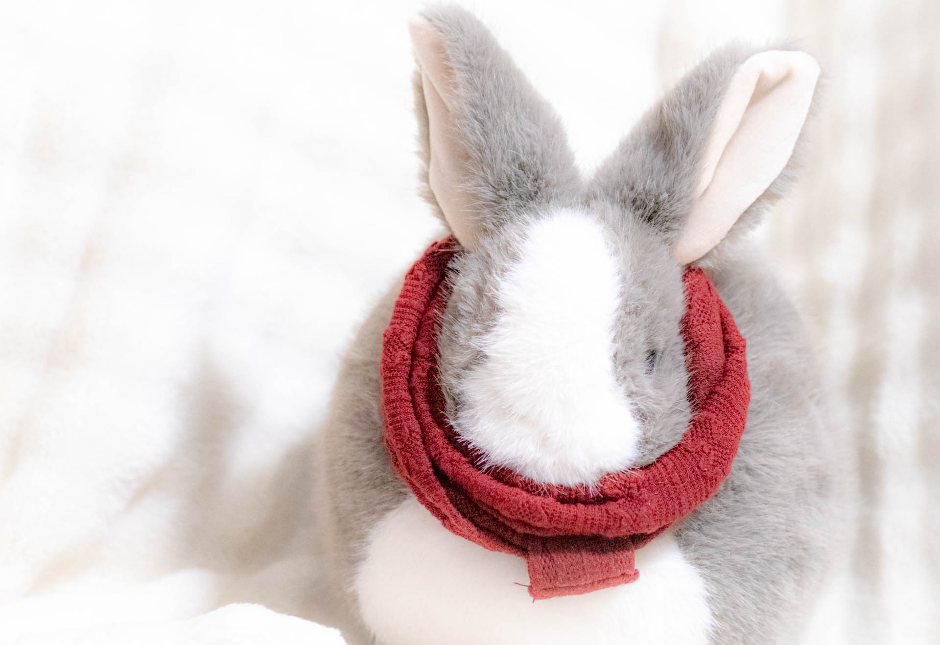 ニトリデコホーム　うさぎ　クッション