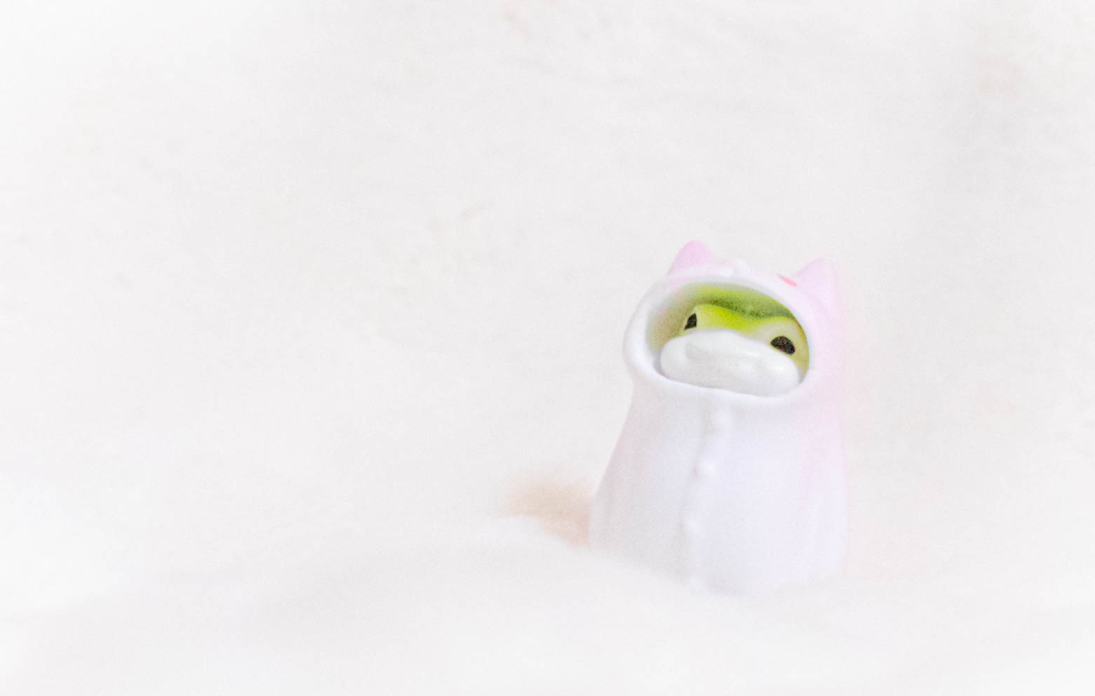 俺、今日からねこ　たたずむ