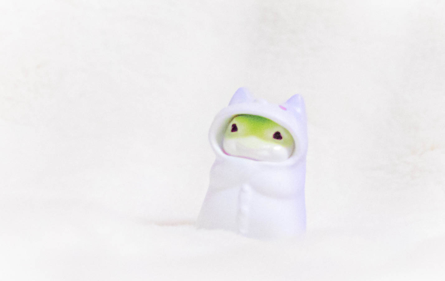 俺、今日からねこ　うでぐみ