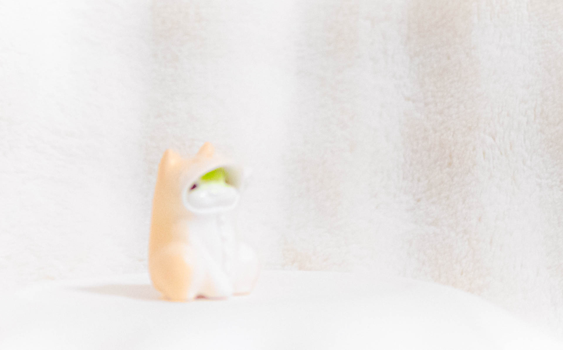 俺、今日からねこ　まねき