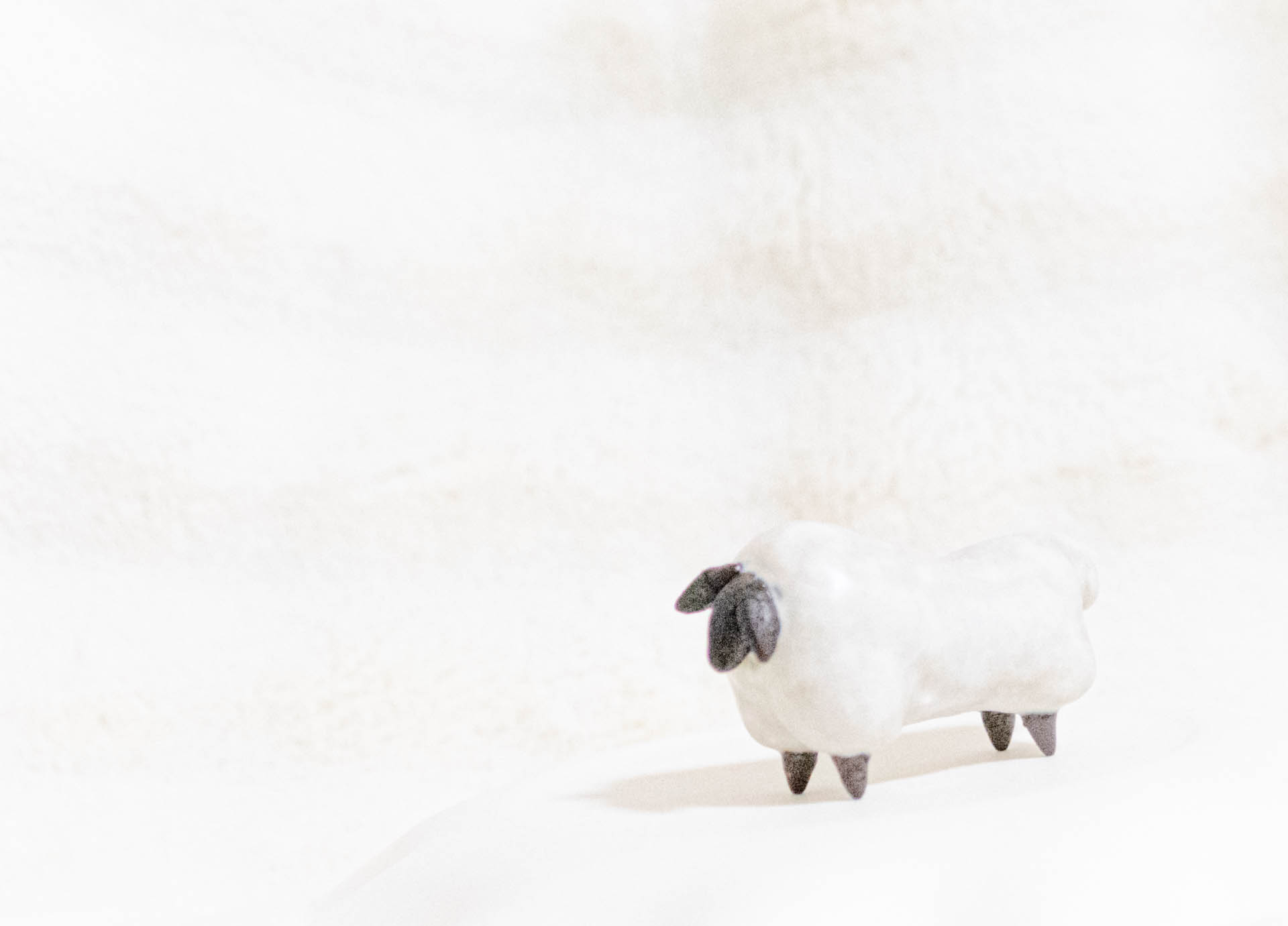 陶 factory509 ひつじ　沖縄