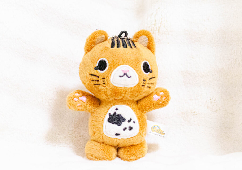 ピカリャ～ 竹富町　ゆるキャラ