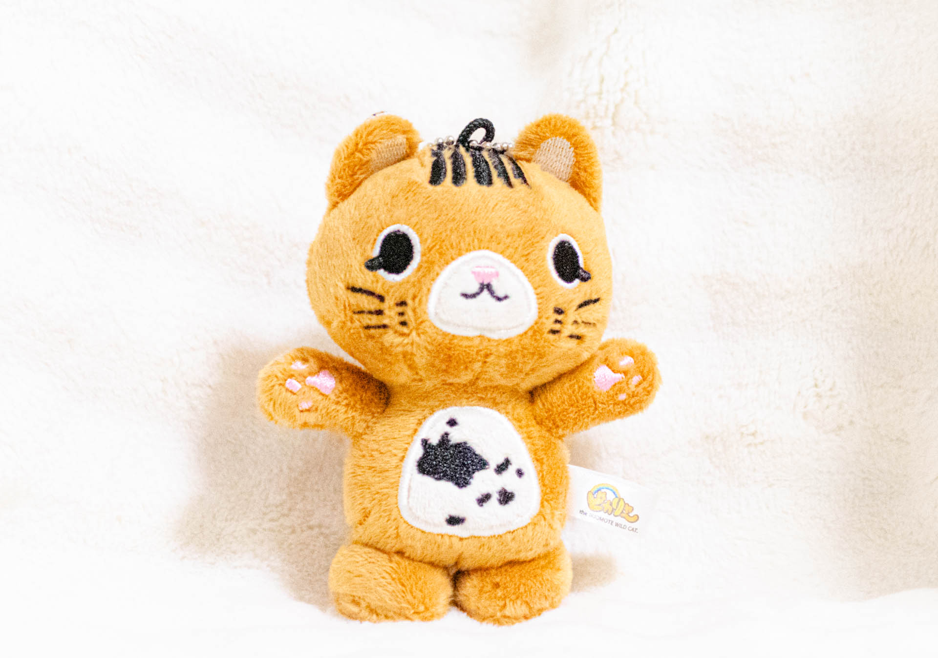 ピカリャ～ 竹富町　ゆるキャラ