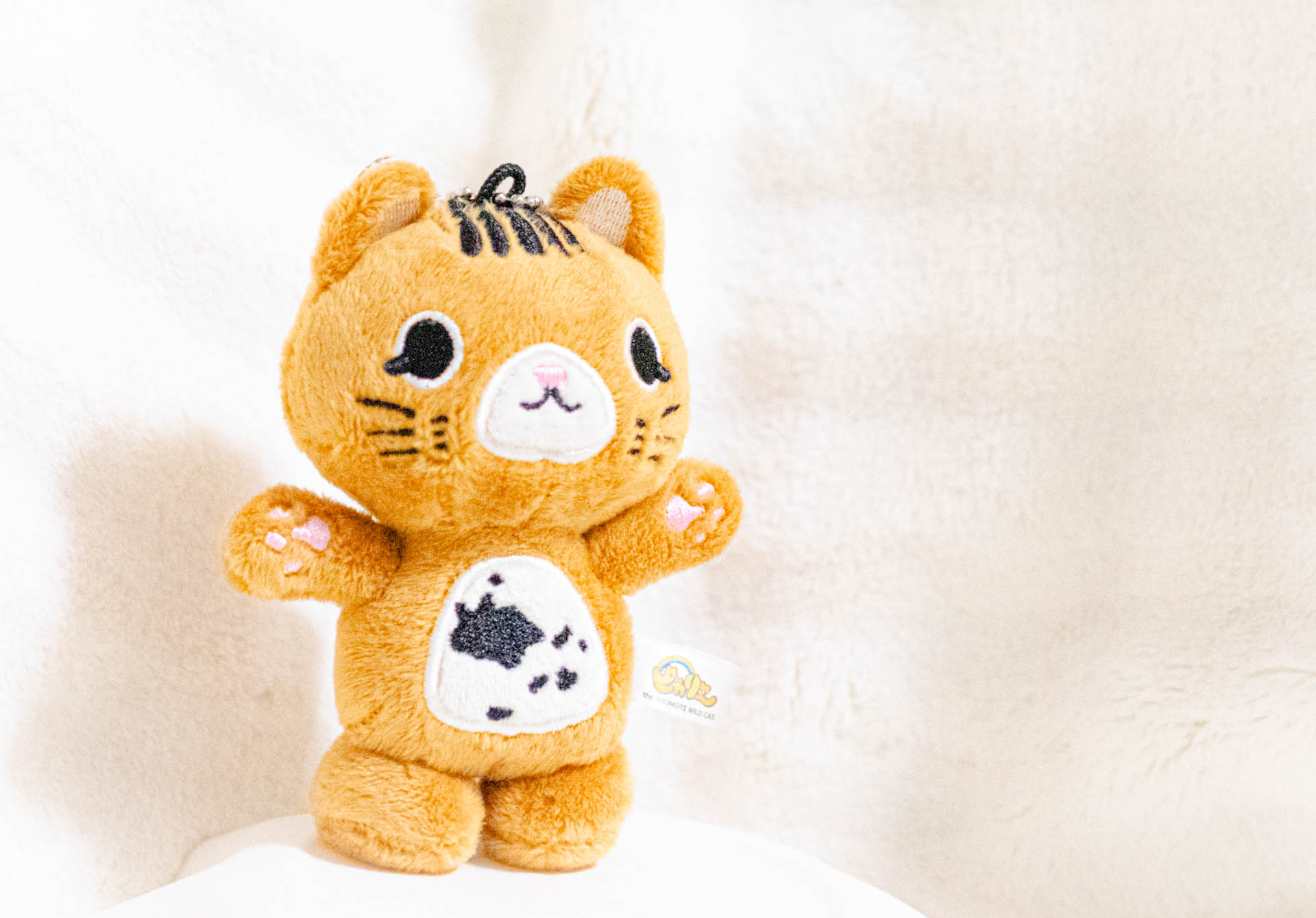 ピカリャ～ 竹富町　ゆるキャラ