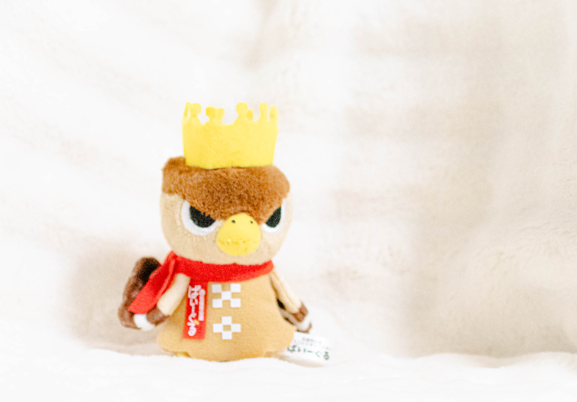 ぱいーぐる　石垣市　ゆるキャラ