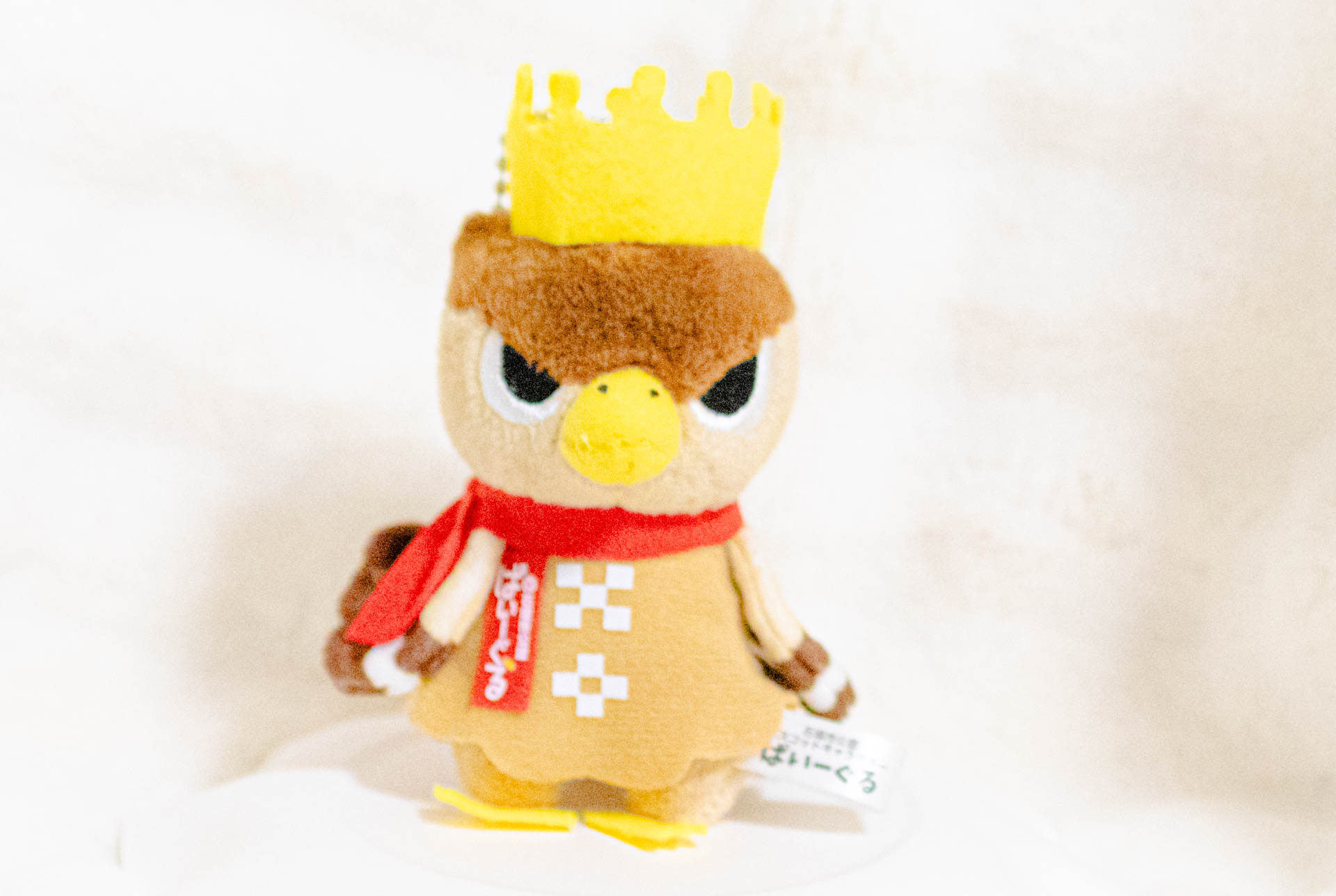 ぱいーぐる　石垣市　ゆるキャラ