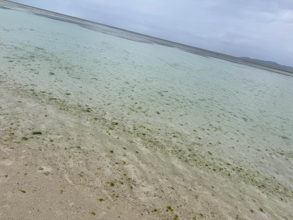 竹富島　コンドイ浜