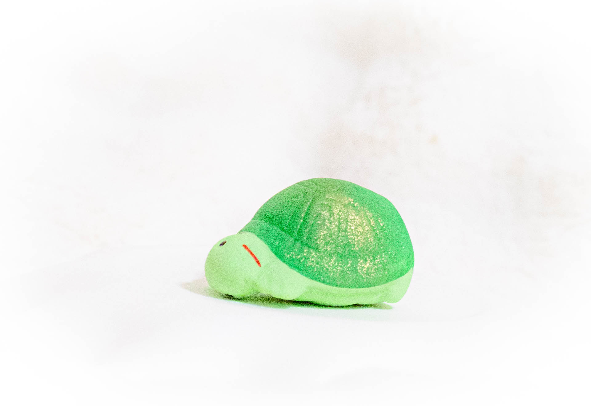 亀　おみくじ　七尾天神