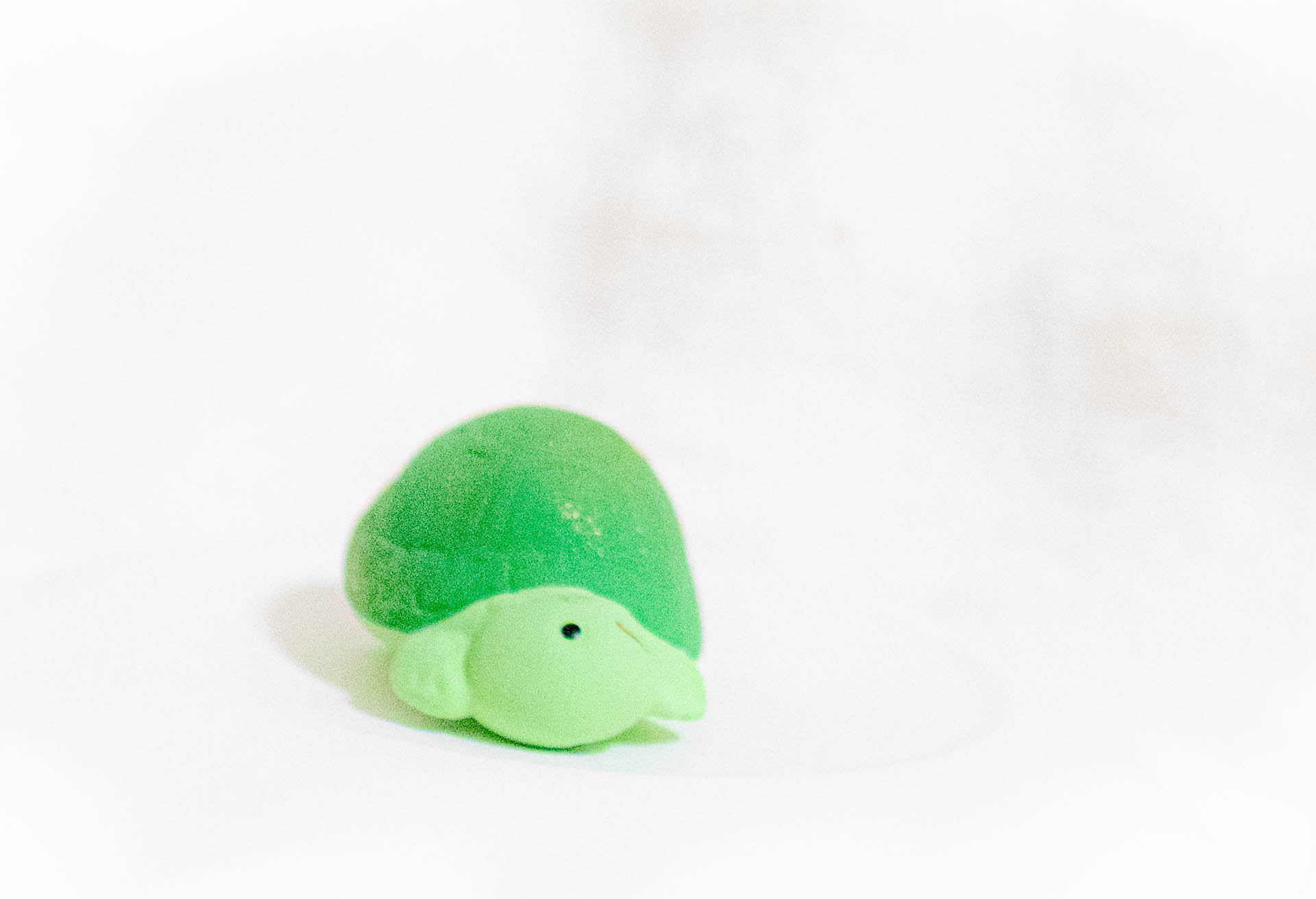 亀　おみくじ　七尾天神