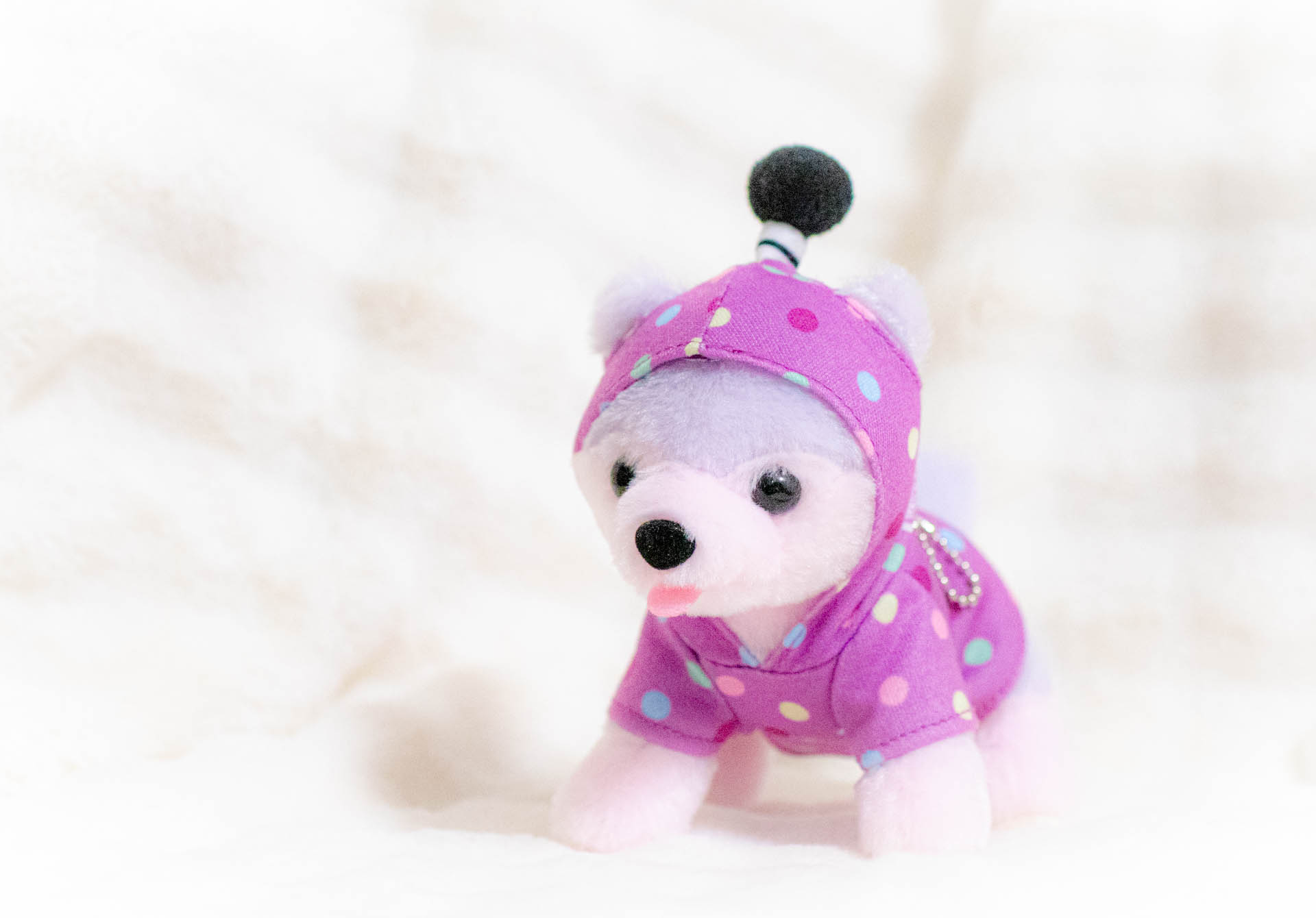 武将わんこ　岡崎城　家康