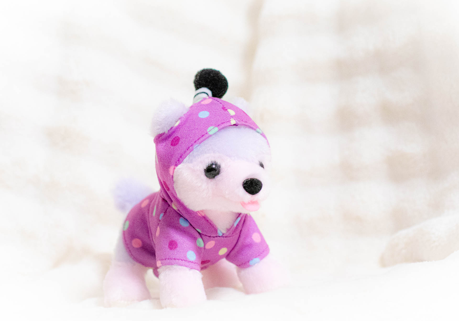 武将わんこ　岡崎城　家康