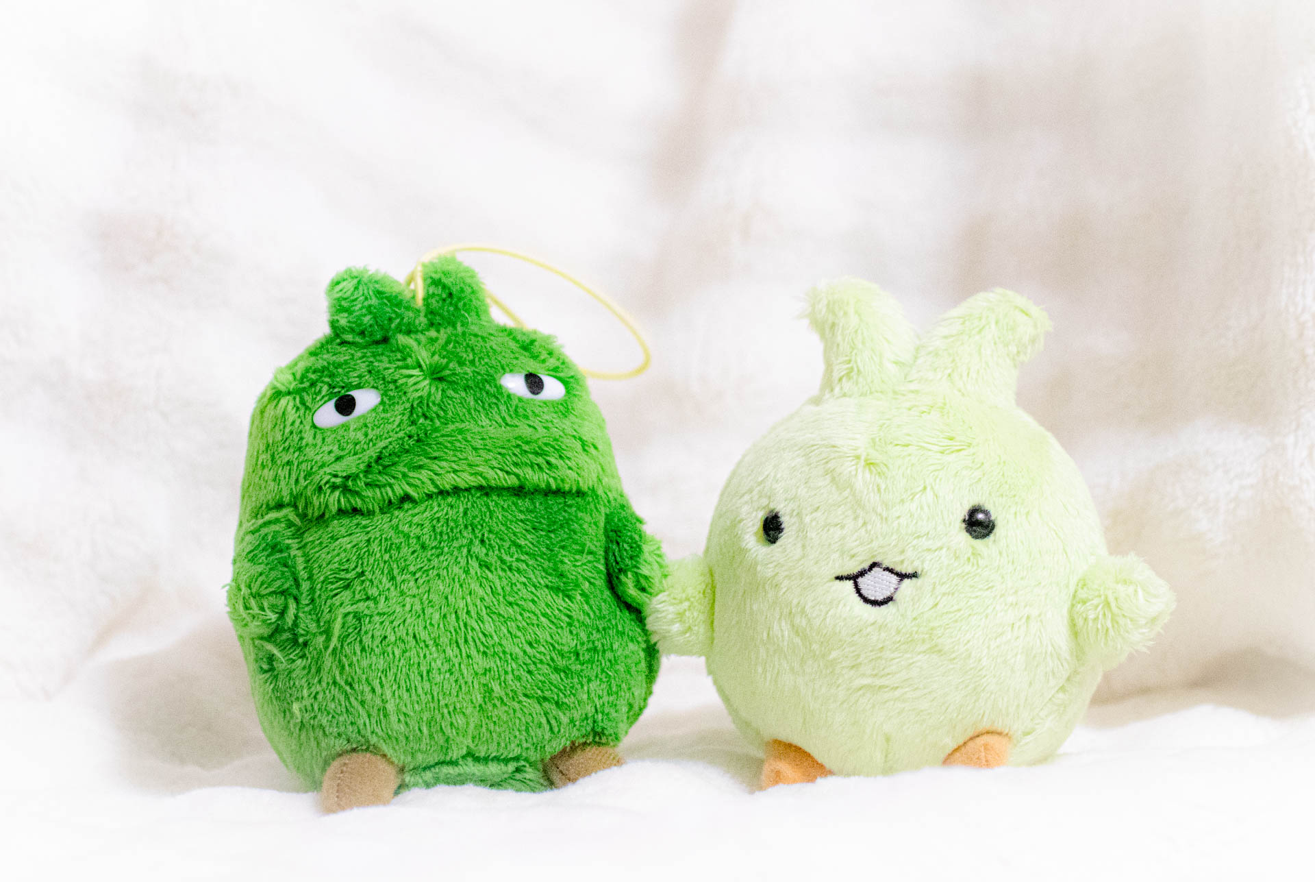 モリゾー　キッコロ　ぬいぐるみ