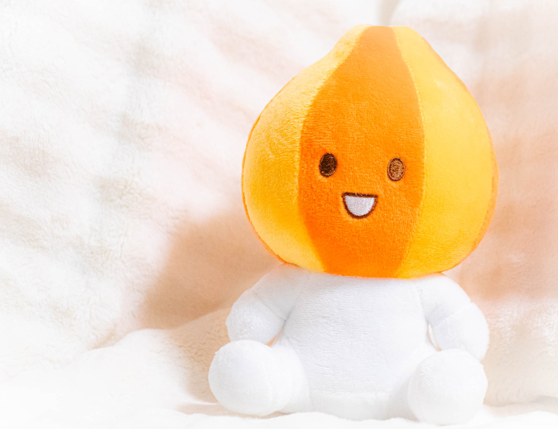 北見　きーたん　ぬいぐるみ