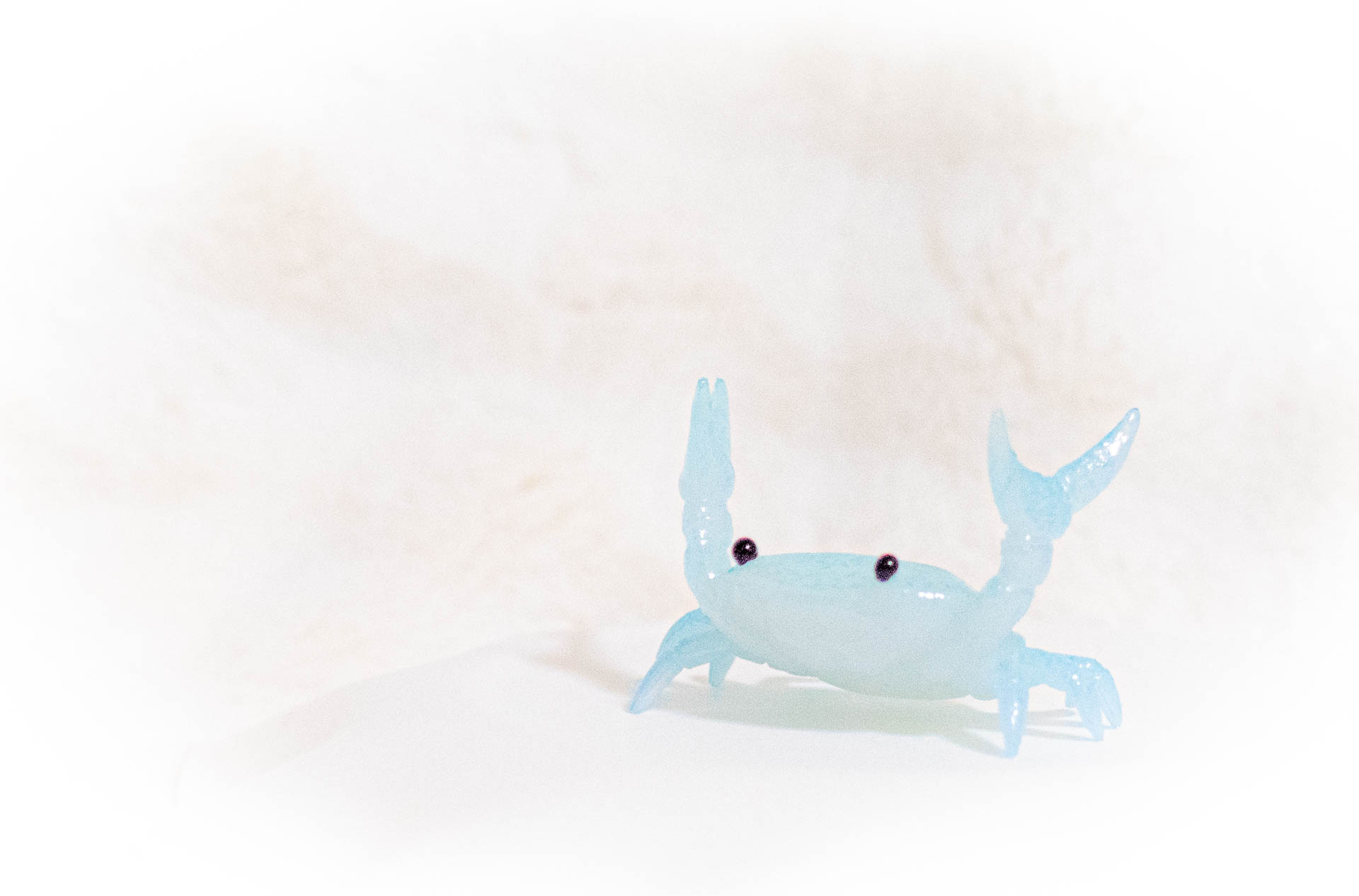 カニペンホルダー