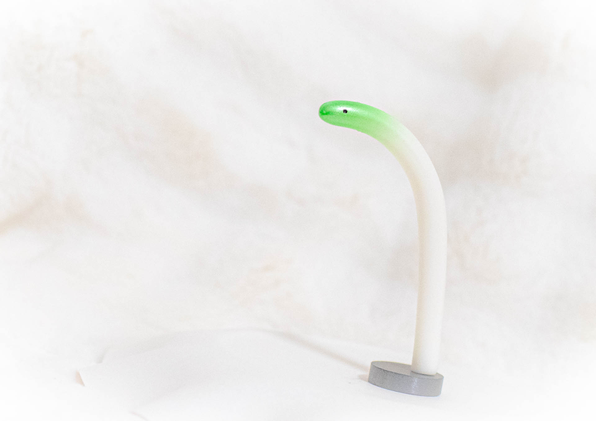 ネギチンアナゴ