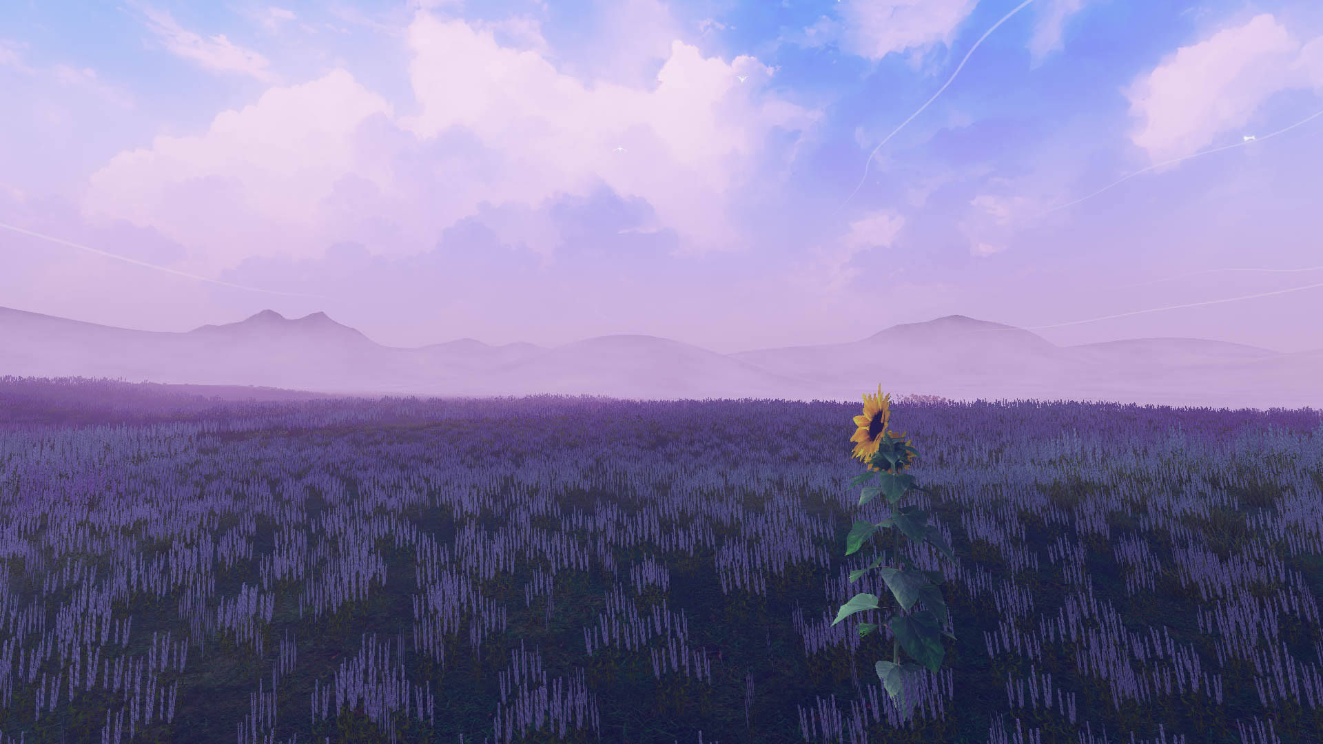 夏の果風秋の花桜 ~Dew on Lavender‚ Petals of…