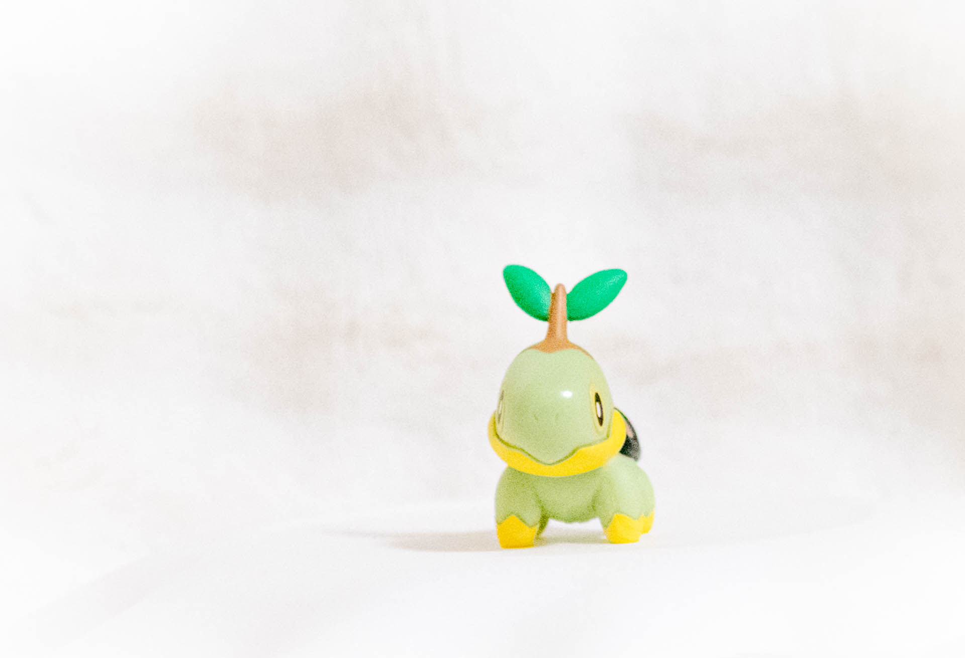 ナエトル　ポケモン