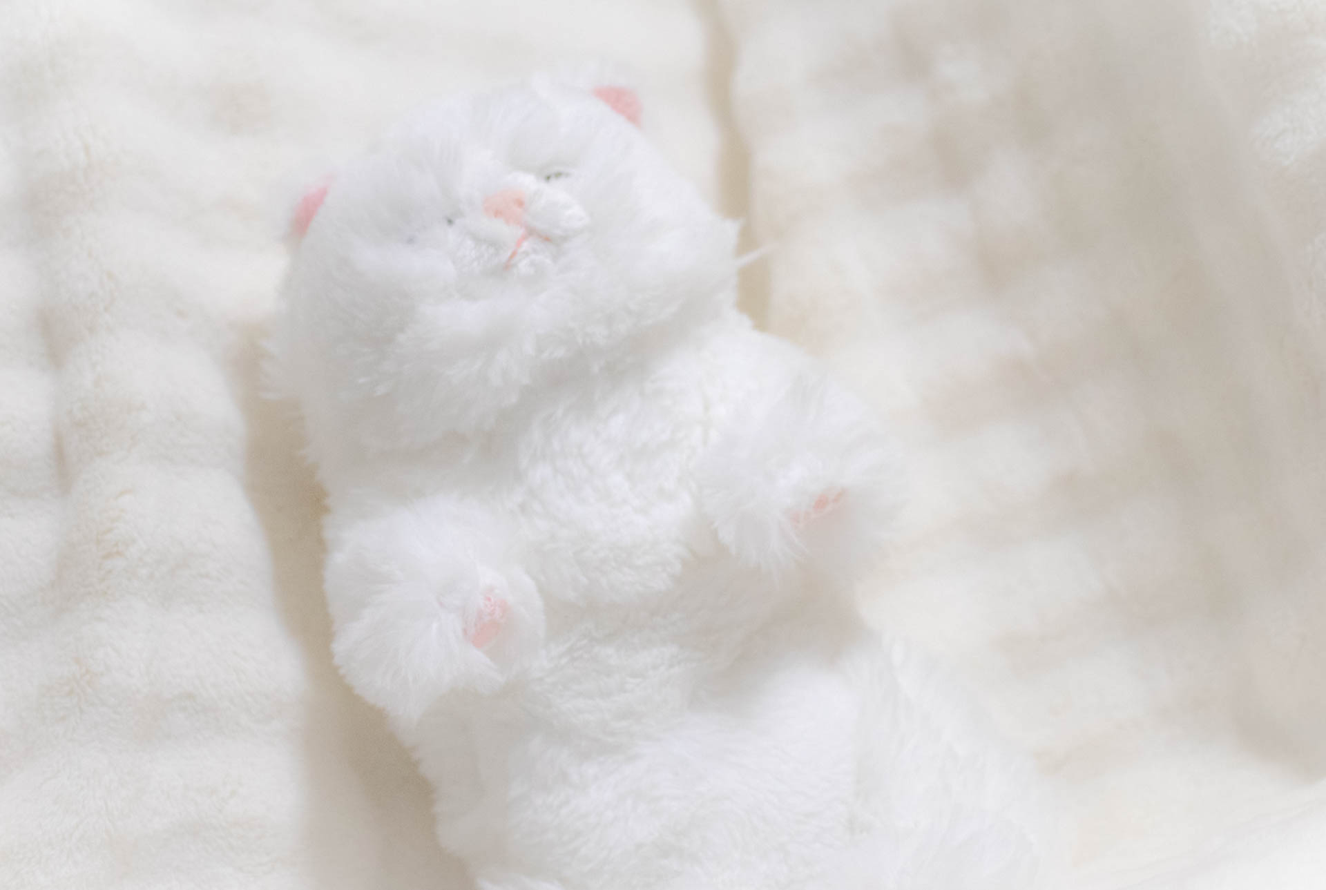 ひざねこ サンレモン ぬいぐるみ