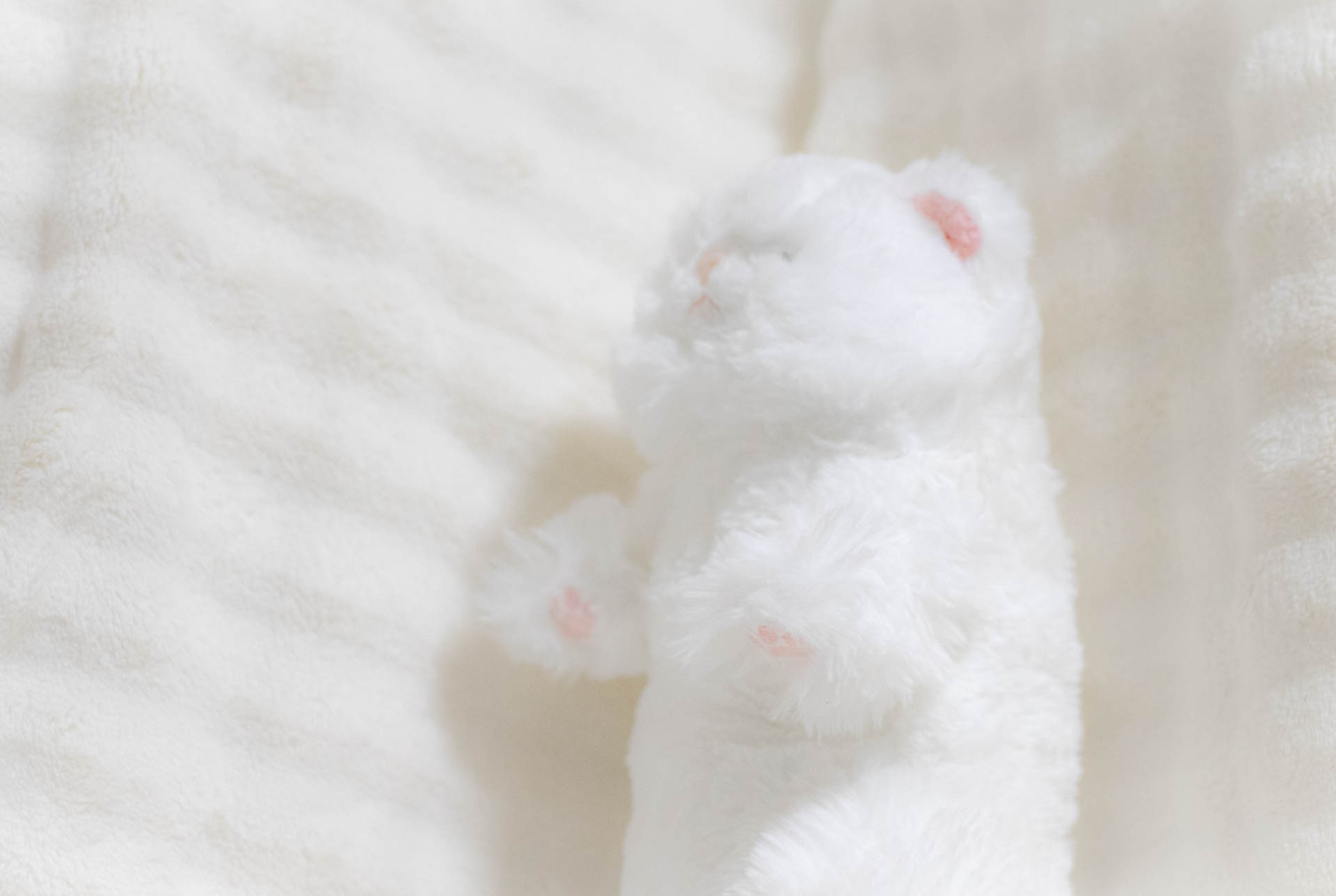 ひざねこ　サンレモン　ぬいぐるみ