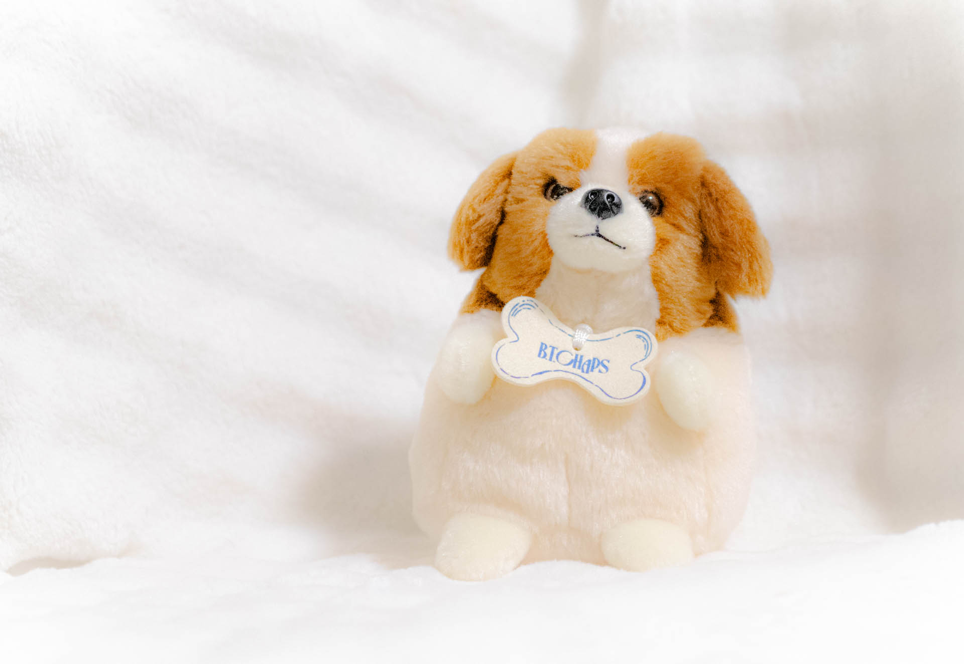 B.T.Chaps　ぬいぐるみ　コッカースパニエル