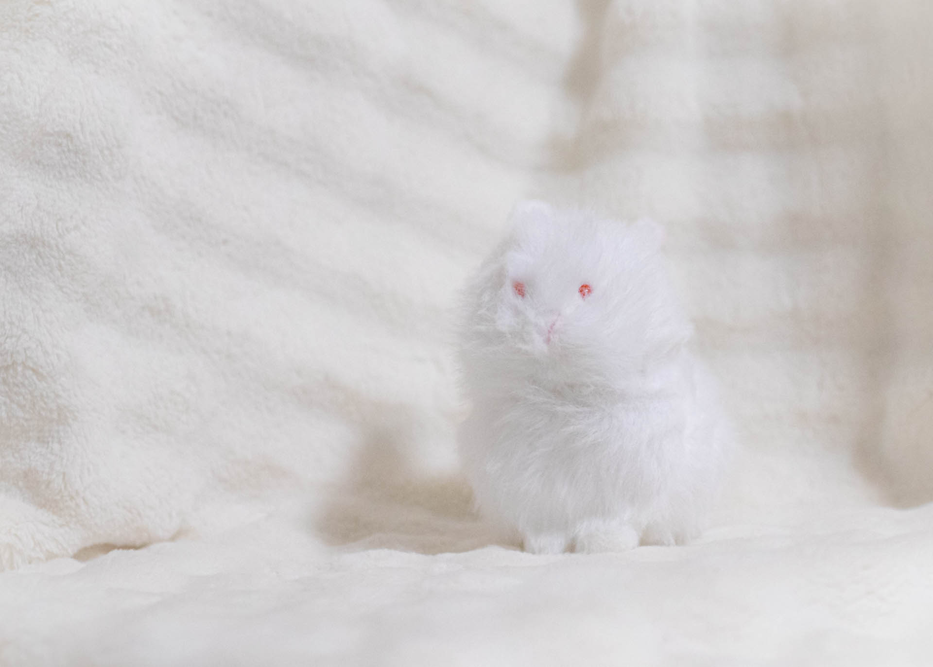 わたぽ　内藤デザイン　ゆきうさぎ