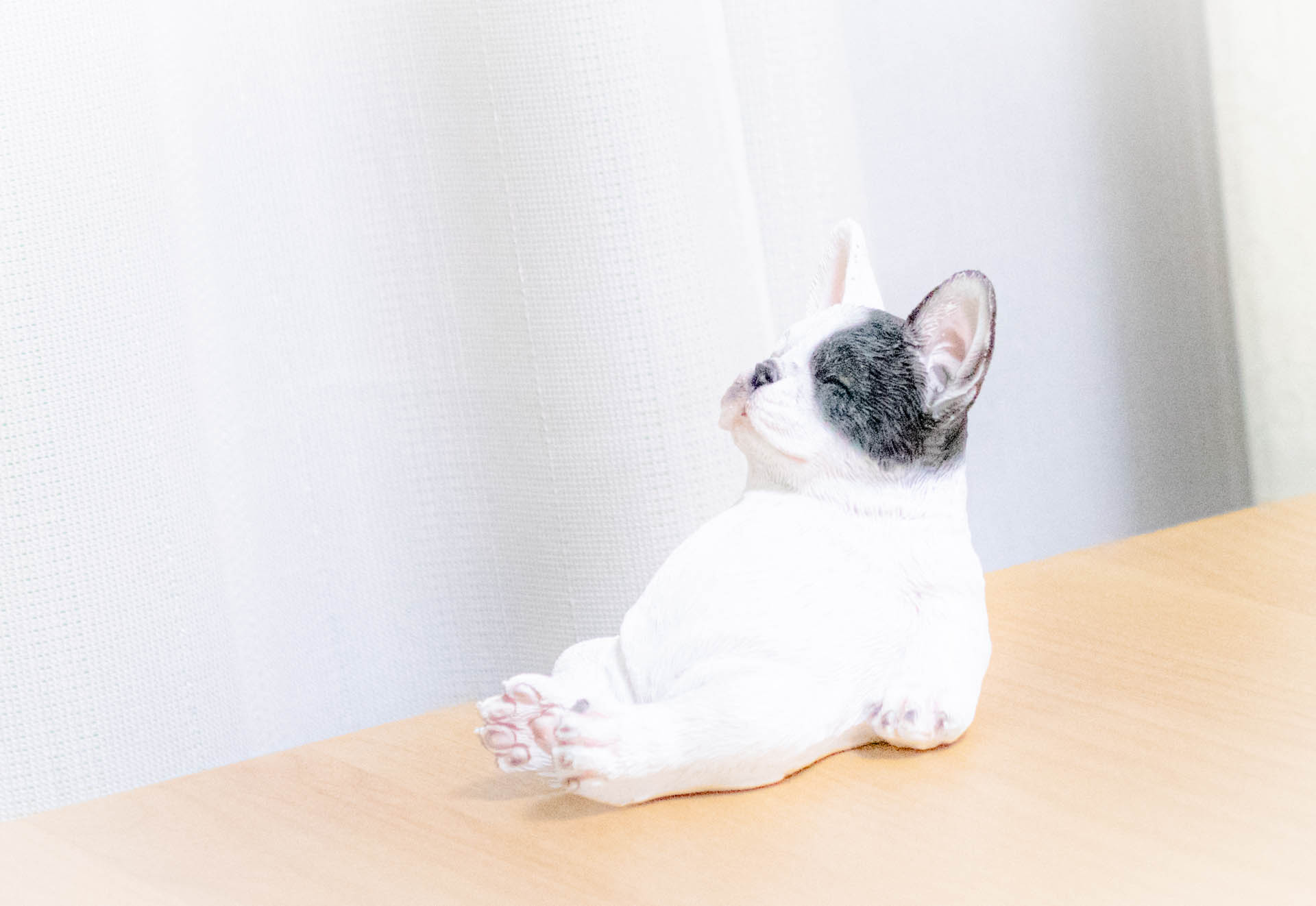 フレンチブルドッグ　置物　ニトリ