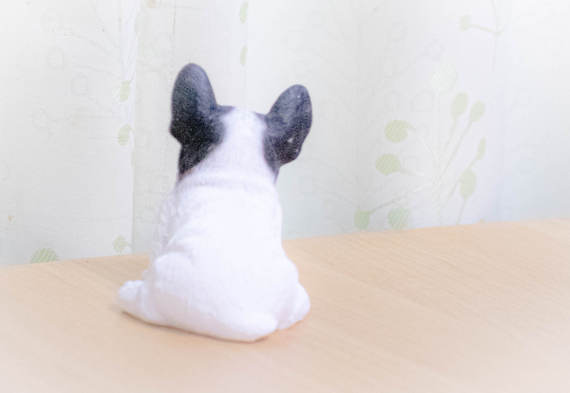 フレンチブルドッグ　置物　ニトリ