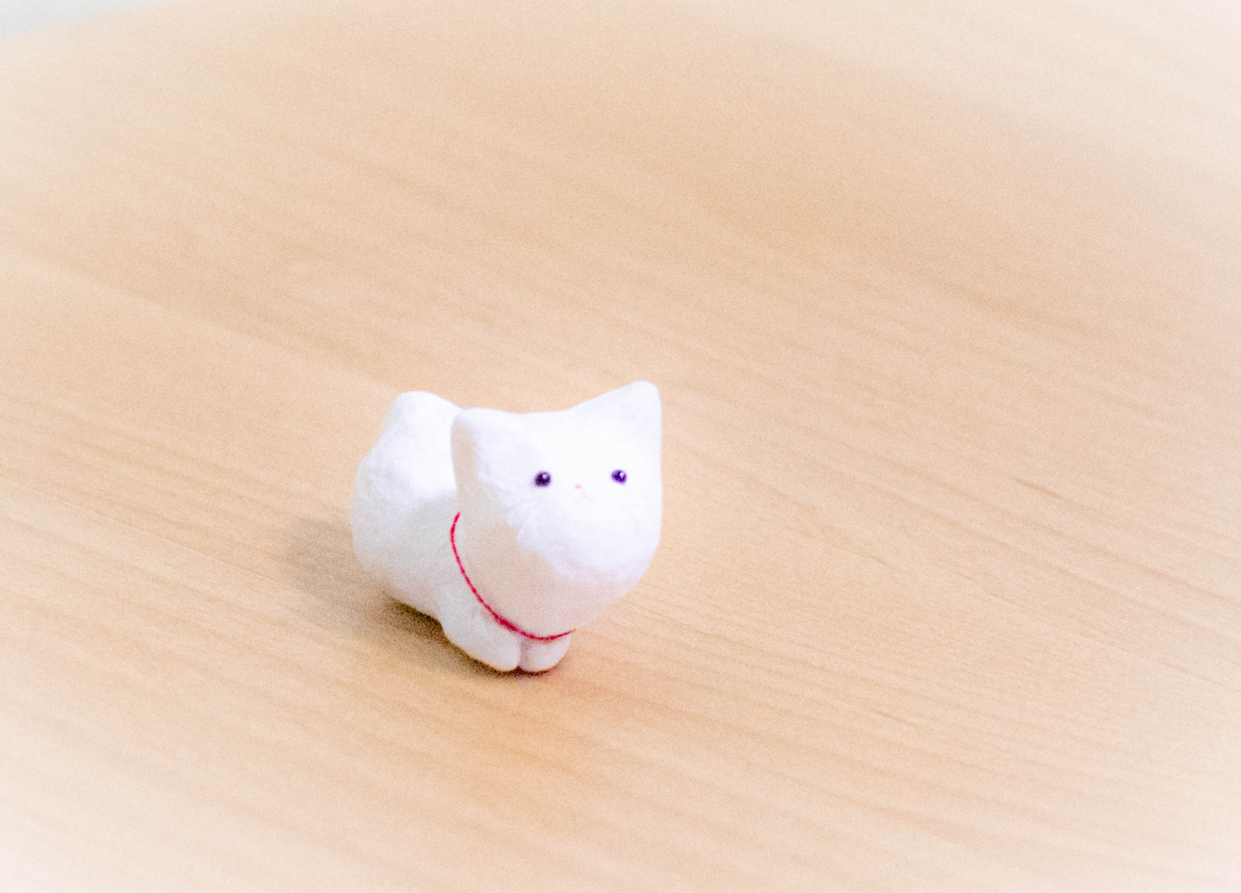 上田　長野　ねこ