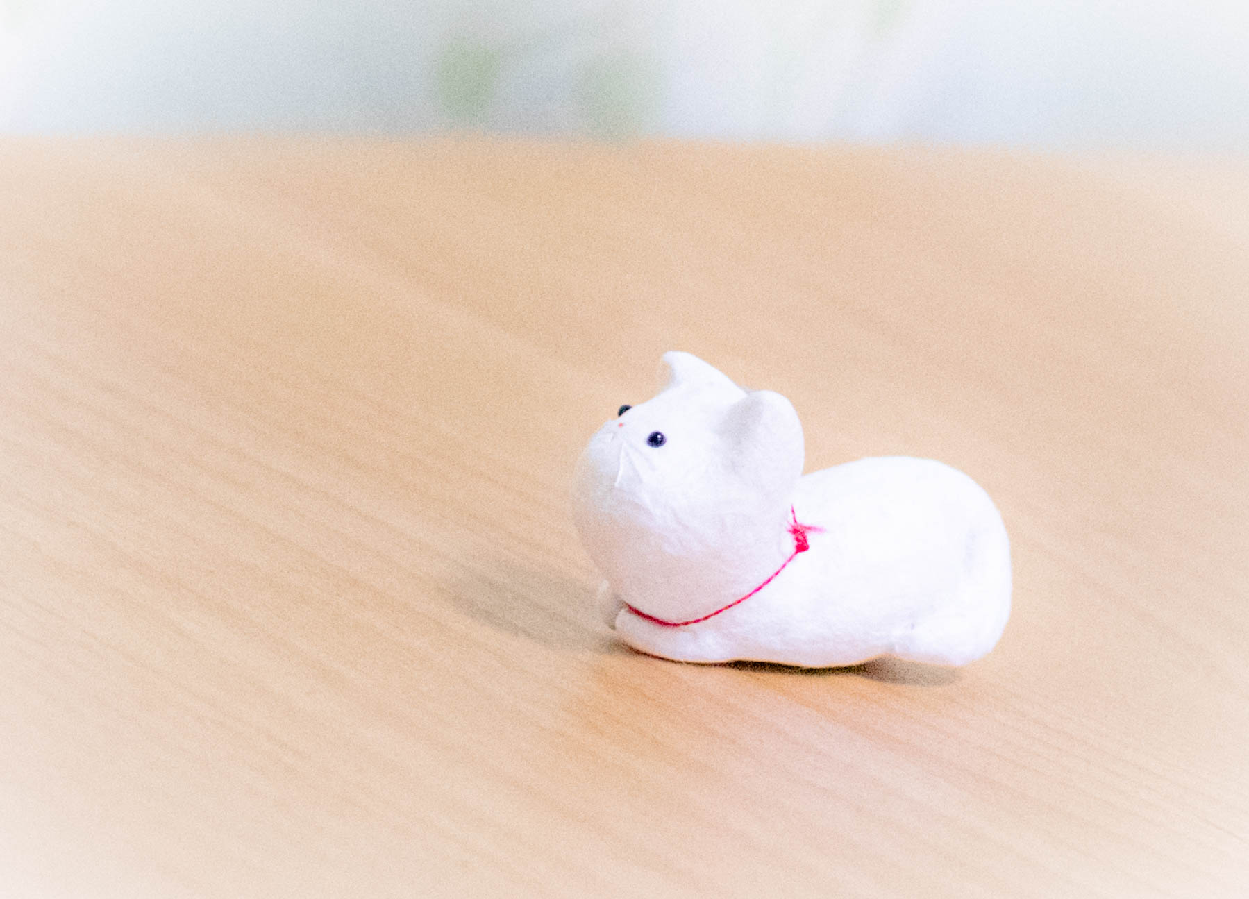 上田　長野　ねこ