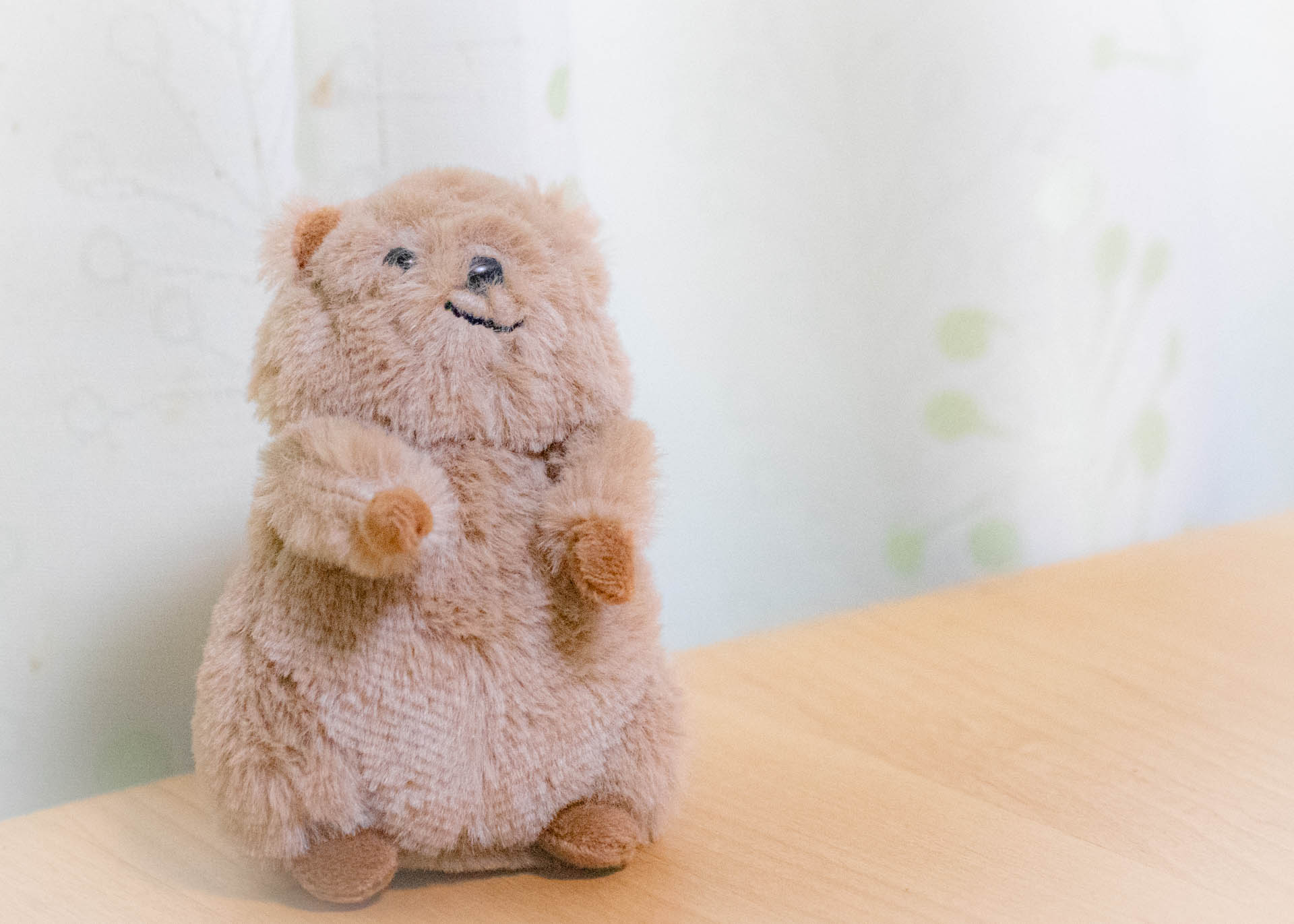 クオッカ　ニトリデコホーム　ぬいぐるみ