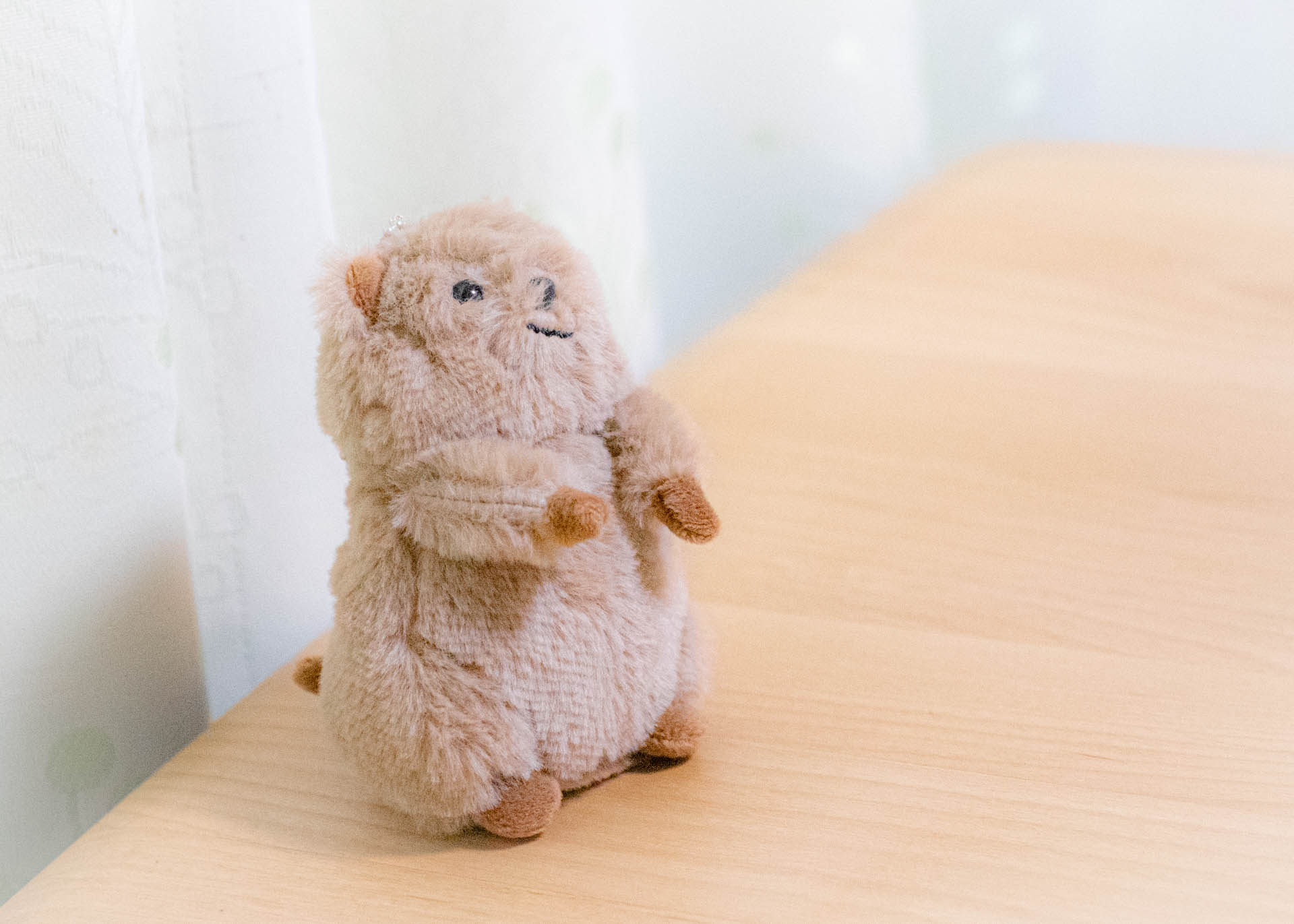 クオッカ　ニトリデコホーム　ぬいぐるみ